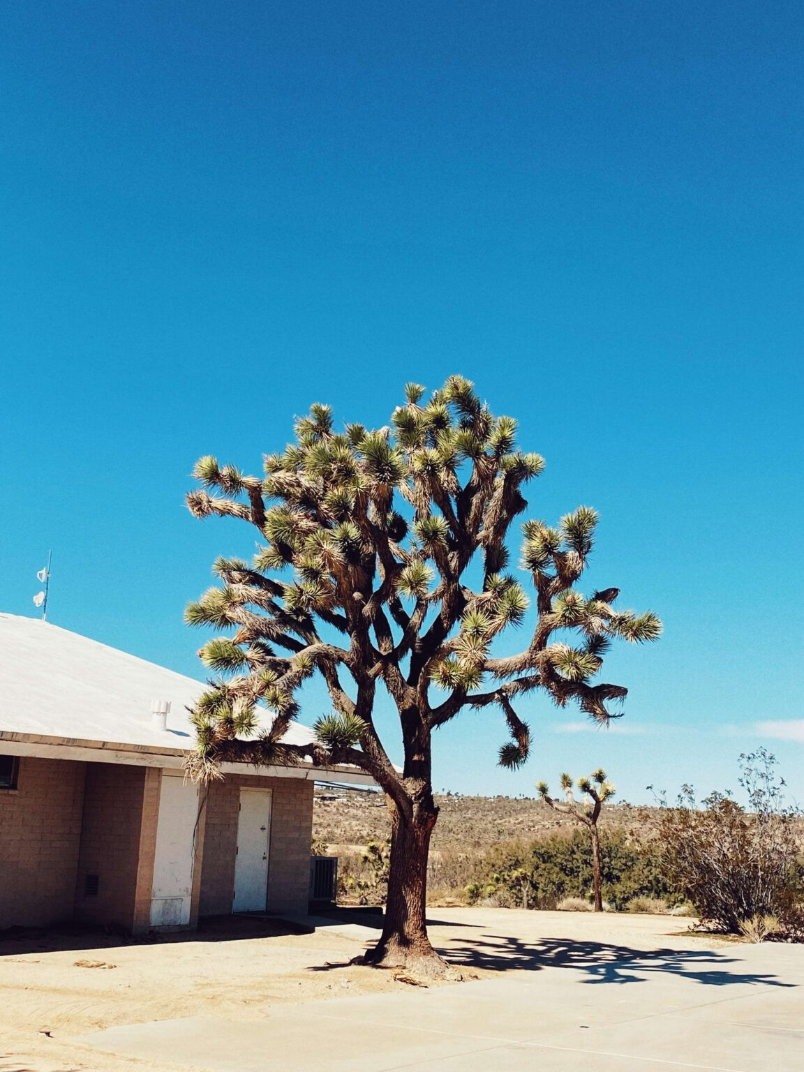 Joshua Tree retreat center