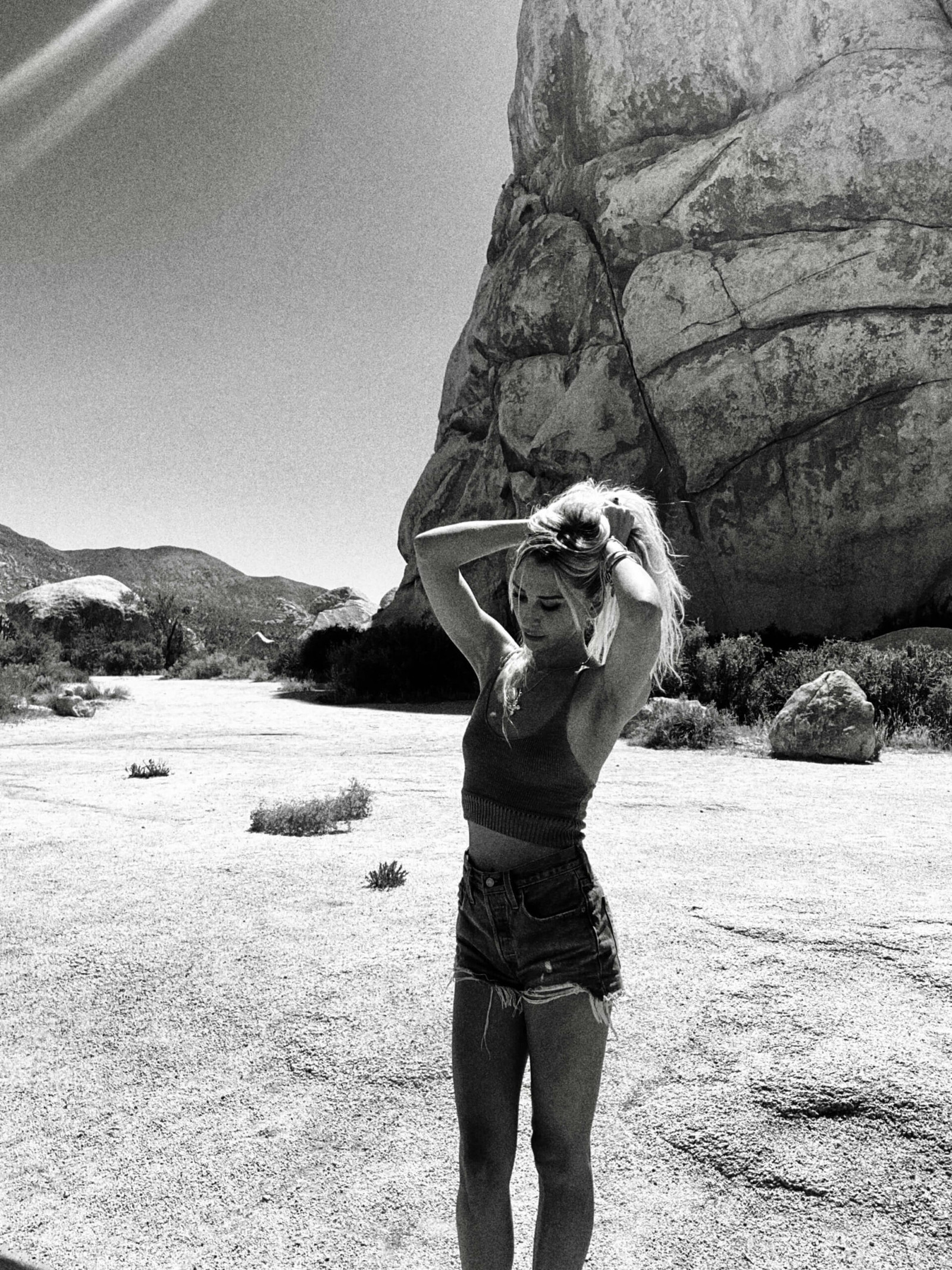 Endangered Icon: Nyt Explores The Joshua Tree'S Future - od0hlop