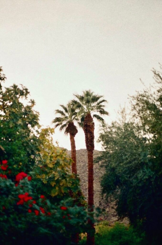 Casa Cody Hotel Palm Springs